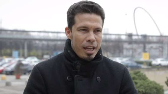 inter hernanes